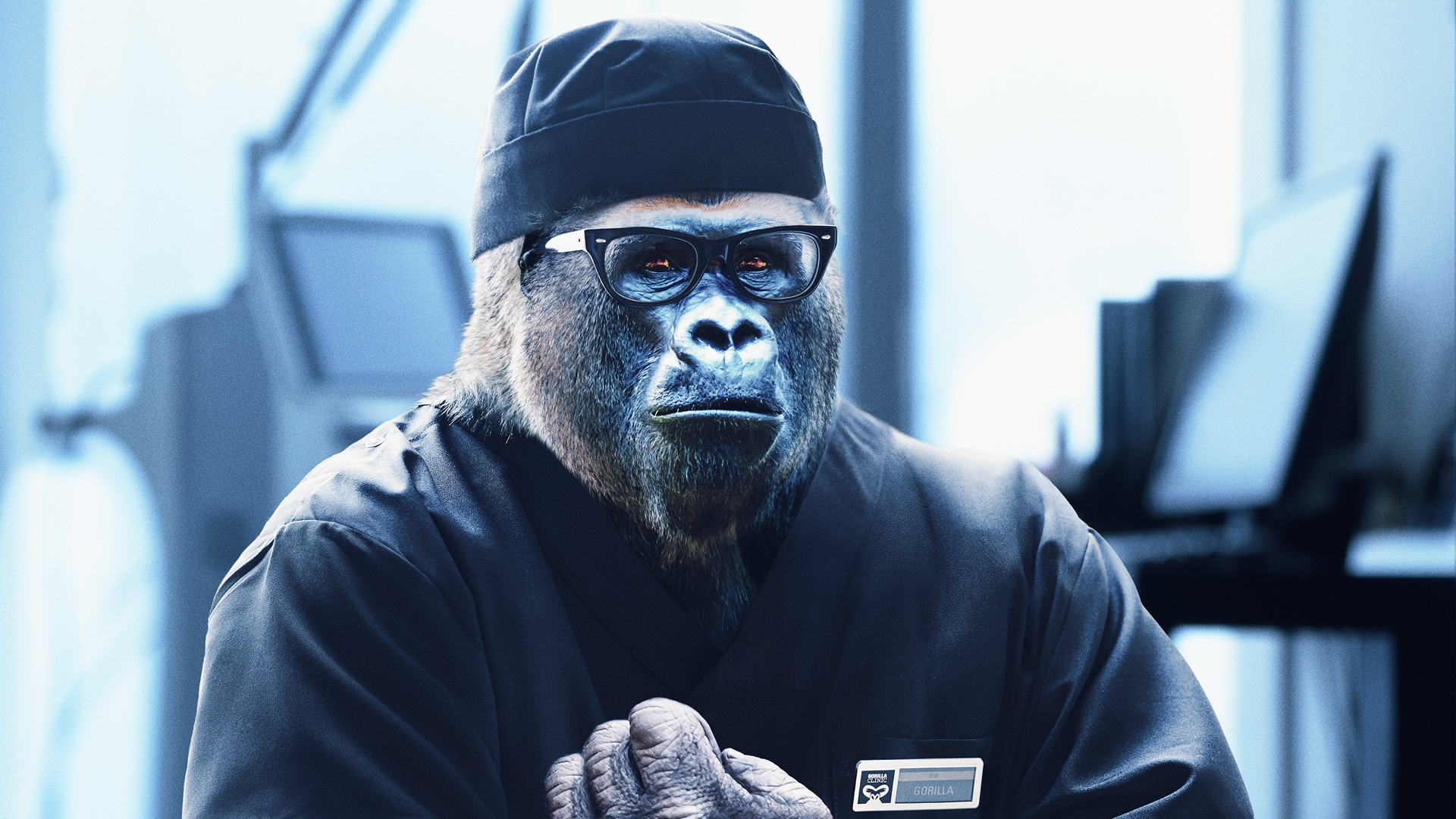 GORILLA CLINIC | GRAND DESIGN LTD.